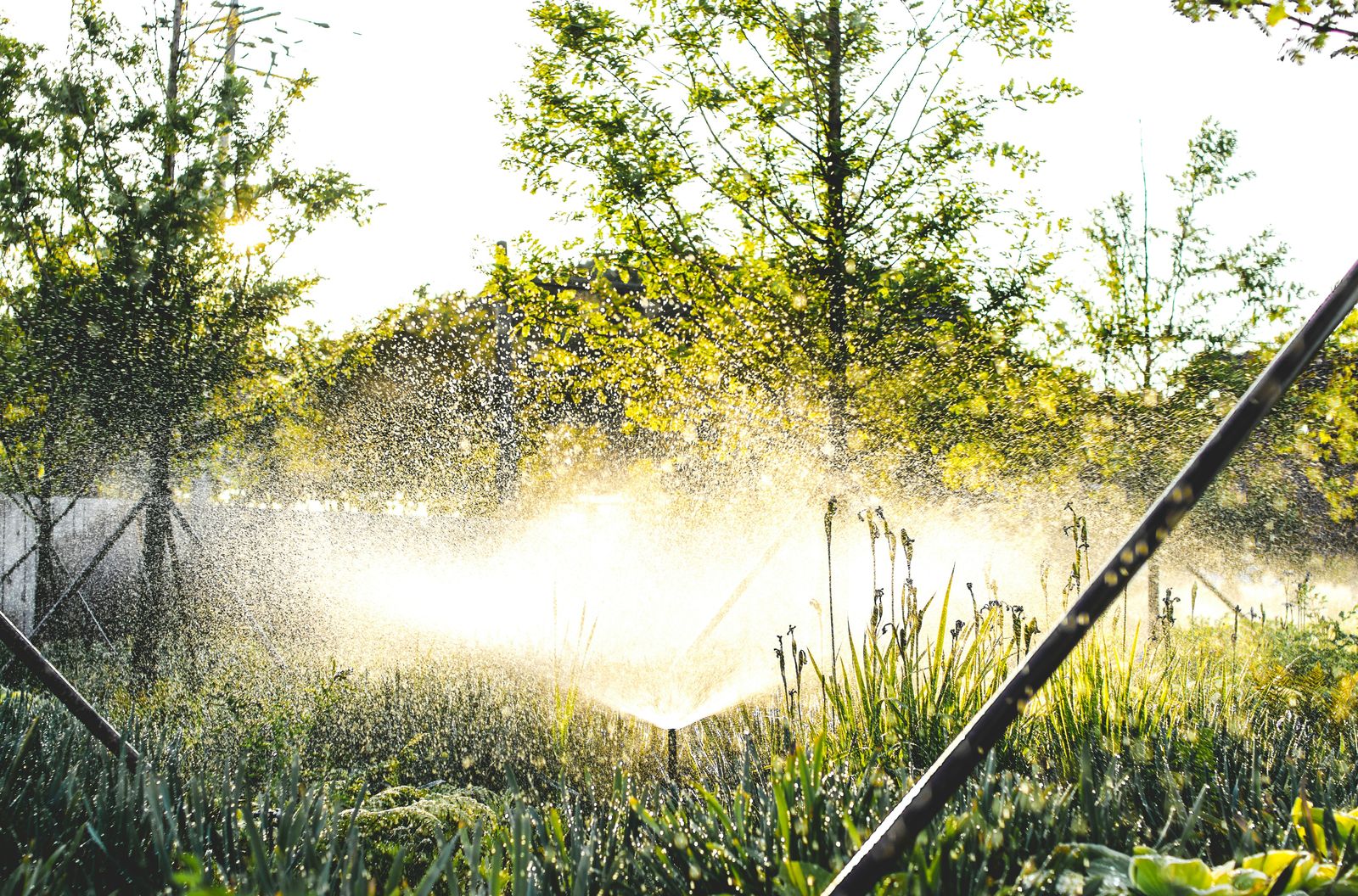 Gardening & Landscaping work